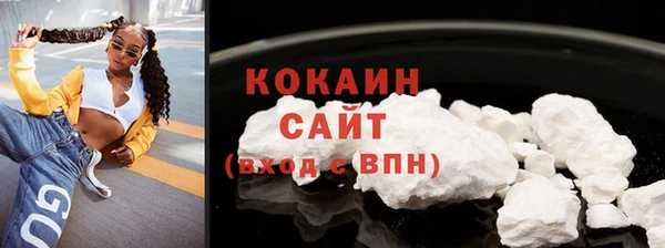 соль ск Каменногорск