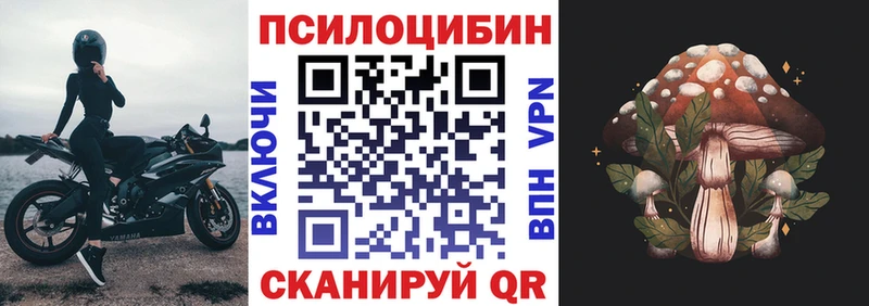 Купить закладки  Джанкой  Галлюциногенные грибы мухоморы 